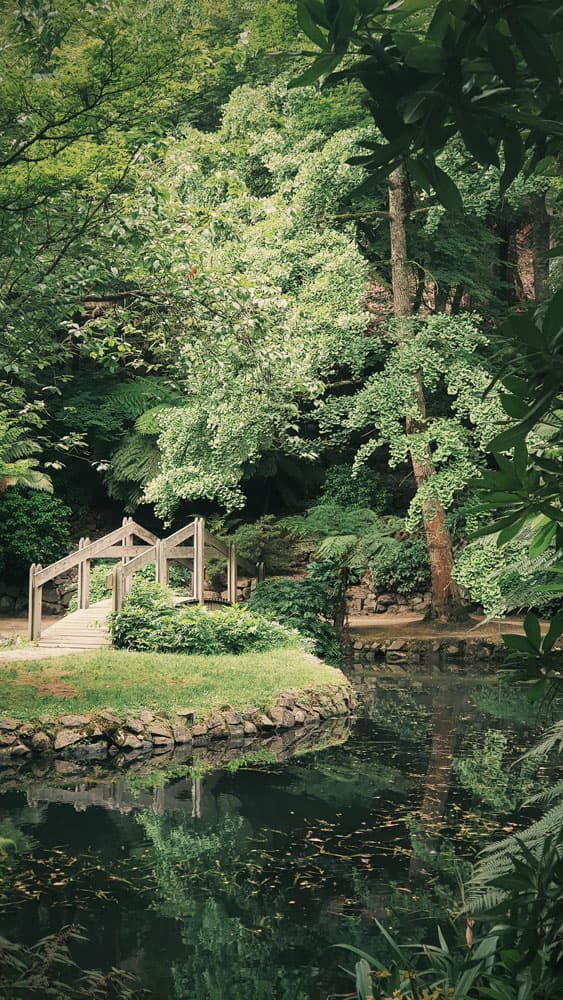 Garten mit Brücke